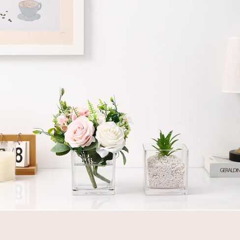 Square Clear Glass Vases Set of 6, 5" x 5" x 5" Flower Vases for Centerpieces, Square Vase for Centerpieces, Small Vase for Wedding, Party, Home Office Decoration in Saudi Arabia