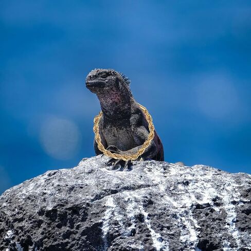 Reptile Crowns 1 Set Climbing Pet Transformation Costume Squirrel Decor Lizard Accessories Hamster Accessories Bearded Dragon Accessories Pet Snake Hat Lizard Crowns Amphibious in Saudi Arabia