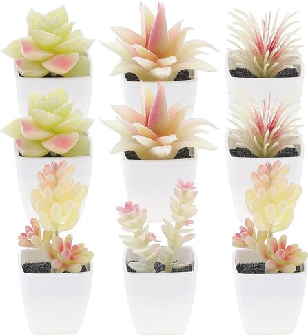 9 Pcs Artificial Succulents Plants in White Pot Small Fake Succulent Echeveria DIY Home Office Indoor Bathroom Living Room Decoration in Saudi Arabia