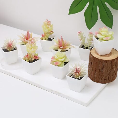 9 Pcs Artificial Succulents Plants in White Pot Small Fake Succulent Echeveria DIY Home Office Indoor Bathroom Living Room Decoration in Saudi Arabia