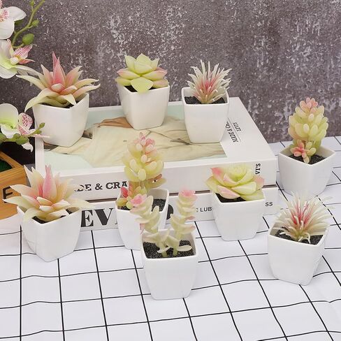 9 Pcs Artificial Succulents Plants in White Pot Small Fake Succulent Echeveria DIY Home Office Indoor Bathroom Living Room Decoration in Saudi Arabia