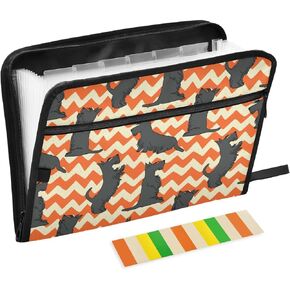 ZZKKO 13 Pockets Expanding File Folder Universe Kids Planets with Sticky Labels Accordion File Folder Document Organizer Letter Size A4 Papers Expandable File Keeper