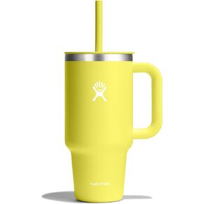 Hydro Flask 32 Oz All Around Travel Tumbler Cactus