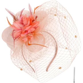 Women Fascinator Hats 20S 50S 80S Tea Party Wedding Cocktail Pillbox Hat Mesh Flower Feathers with Hair Clip