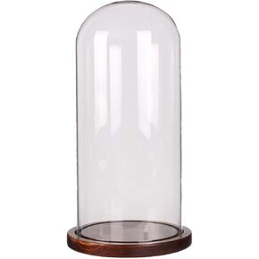 Glass Dome Cloche مع قاعدة خشب القهوة - حالة عرض واضحة 4.7 "x11" للديكور على الطاولة | غطاء جرة الجرس الواقي للنباتات والكعك وعرض المقتنيات