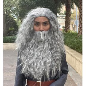 Grey Curly Wizard Wig and Beard, Costume Long Beard and Wig Set for Halloween Cosplay, Wizard Cosplay Costume Accessory for Adults (Grey)