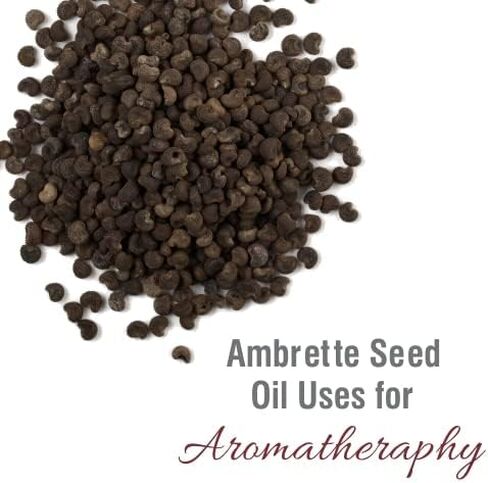 Crysalis Carnation Oil | Pure & Natural Undiluted Cold Pressed Carrier Oil - 15ml/0.50 fl oz in Saudi Arabia