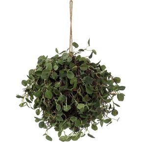 Vickerman Everyday 6 Inch Artificial Angel Vine Kissing Ball - Natural Green - for Indoor Use Suspended Or Arrangement Accent - Home Tabletop Fake Bush Decoration