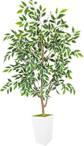 Artificial Ficus Tree 5ft, Faux Plant with White Tall Planter, Fake Ficus Leaves Plants in Pot, Artificial Floor Trees for Home Living Room Office Bedroom Foyer Porch Decor Indoor in Saudi Arabia