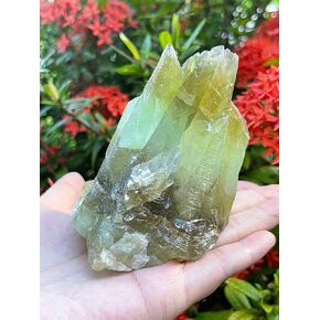 GAF TREASURES Huge Green Calcite Rough Natural Stones, Raw Calcite Green Crystals (0.25-0.5 Pounds)