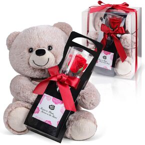 Cute Bear with Preserved Flower for Women Gift, Bear Holding Forever Flower in Gift Box for Birthday, Anniversary, Retired, Mother, Wife, Grandma, Friend, Girlfriend Romantic Eternal Roses Gifts
