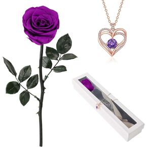 Preserved Rose Flower with Necklace, Real Flowers for Delivery Prime, Single Eternal Red Rose Flower Gifts for Women, Birthday, Anniversary Valentines Gifts Wife Her Mom (Pink)