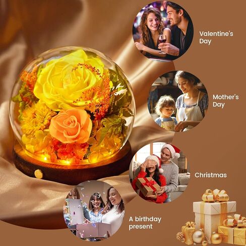 زهرة الكرة الأرضية مع الزهور المحفوظة ، وردة أبدية في الزجاج ، والزهور الحقيقية طويلة الأمد ، هدية الأزهار للأم ، الجدة ، الزوجة ، أخت ، عيد ميلاد صديق عيد ميلاد ، أصفر in Saudi Arabia