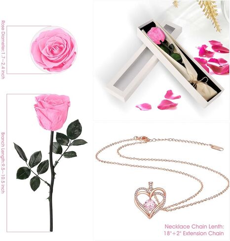 Preserved Rose Flower with Necklace, Real Flowers for Delivery Prime, Single Eternal Red Rose Flower Gifts for Women, Birthday, Anniversary Valentines Gifts Wife Her Mom (Pink) in Saudi Arabia