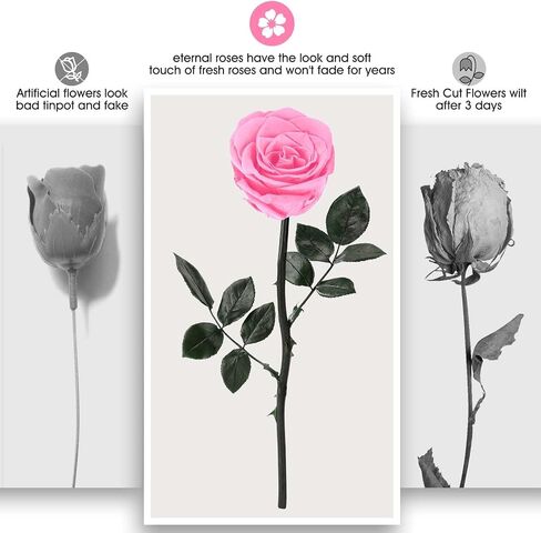 Preserved Rose Flower with Necklace, Real Flowers for Delivery Prime, Single Eternal Red Rose Flower Gifts for Women, Birthday, Anniversary Valentines Gifts Wife Her Mom (Pink) in Saudi Arabia