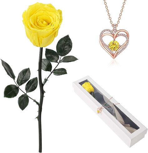 Preserved Rose Flower with Necklace, Real Flowers for Delivery Prime, Single Eternal Red Rose Flower Gifts for Women, Birthday, Anniversary Valentines Gifts Wife Her Mom (Pink) in Saudi Arabia