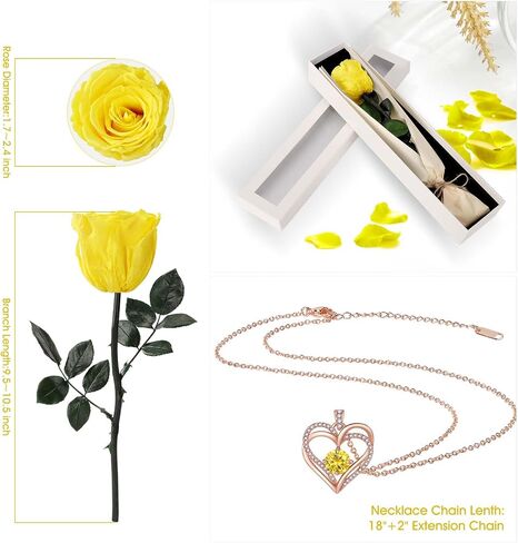 Preserved Rose Flower with Necklace, Real Flowers for Delivery Prime, Single Eternal Red Rose Flower Gifts for Women, Birthday, Anniversary Valentines Gifts Wife Her Mom (Pink) in Saudi Arabia