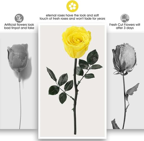 Preserved Rose Flower with Necklace, Real Flowers for Delivery Prime, Single Eternal Red Rose Flower Gifts for Women, Birthday, Anniversary Valentines Gifts Wife Her Mom (Pink) in Saudi Arabia