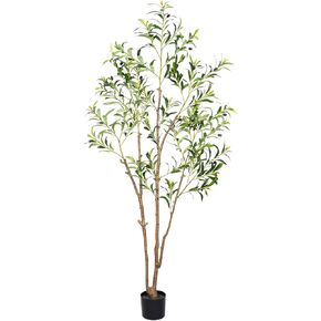 Faux Olive Tree 6ft (72 Inch), Olive Trees Artificial Indoor with Realistic Leaves and Fruits, Fake Olive Tree Perfect for Modern Home Office Living Room Floor Decoration Gift