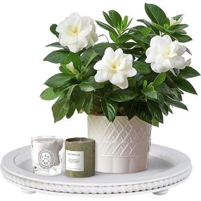 صواني ديكور الحضرية ديكور للمنزل ، ودرج العطور البيضاء ، والصواني الخشبية البيضاوية لطاولة القهوة ودرج الشاي لغرفة المعيشة ، ومطبخ ، ديكور المزرعة (1-PK) in Kuwait