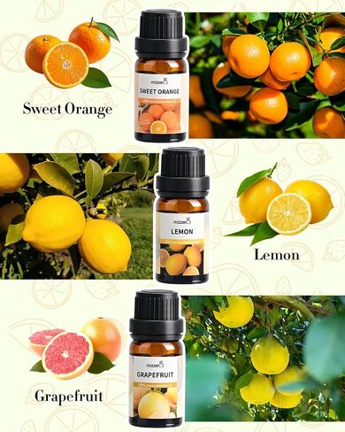 MIZZEO Fruity Essential Oil Set, Premium Pure & Natural Aromatherapy Essential Oils for Diffuser for Home, 3 * 10 ML Diffuser Oil Gift Set- Sweet Orange,Lemon,Grapefruit in Saudi Arabia