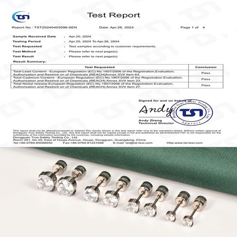 Hopply Hypoallergenic G23 Pure Titanium Earrings, 20G Implant Grade Flatback 5A Cubic Zirconia Earrings Studs, Suitable for Women Men Sensitive Ears Jewelry Gift in Saudi Arabia