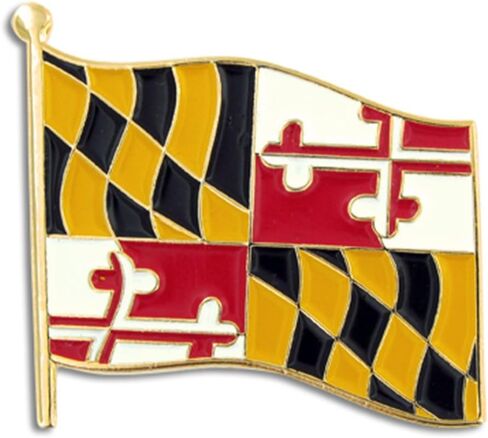 PinMart US State Flag Enamel Lapel Pin in Saudi Arabia