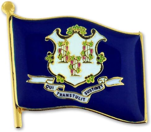 PinMart US State Flag Enamel Lapel Pin in Saudi Arabia