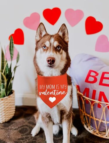 Valentine's Day Dog Bandanas, I Love You Red Heart Double Sided 2 Pack Holiday Puppy Bandanas Dog Kerchief Gifts (03) in Kuwait