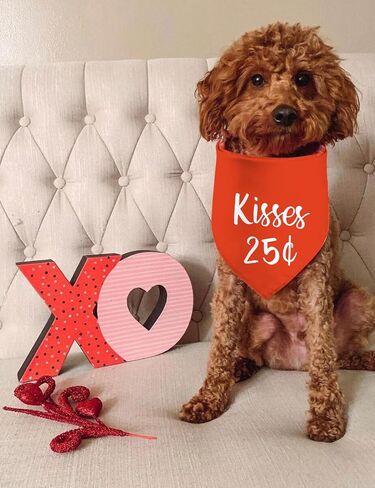 Valentine's Day Dog Bandanas, I Love You Red Heart Double Sided 2 Pack Holiday Puppy Bandanas Dog Kerchief Gifts (03) in Kuwait