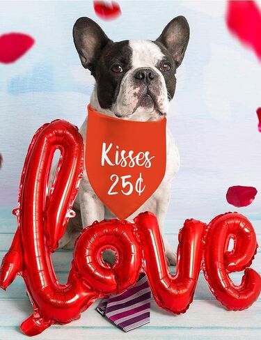 Valentine's Day Dog Bandanas, I Love You Red Heart Double Sided 2 Pack Holiday Puppy Bandanas Dog Kerchief Gifts (03) in Kuwait