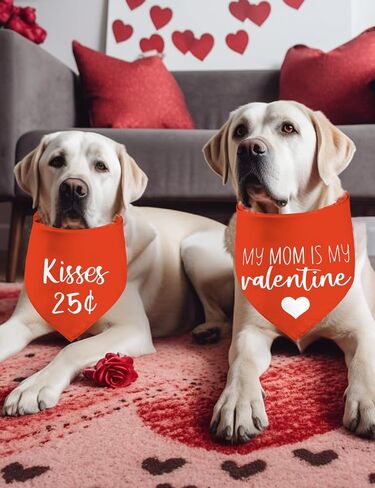Valentine's Day Dog Bandanas, I Love You Red Heart Double Sided 2 Pack Holiday Puppy Bandanas Dog Kerchief Gifts (03) in Kuwait