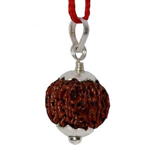 13 Mukhi Rudraksha Silver Pendant, Nepali, Unisex For Men and Women (18 M.M)