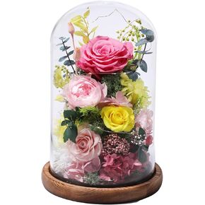 Flowers for Delivery Prime Preserved Flowers Rose in Glass Dome,Pink Rose Forever Flowers Birthday Gifts for Women Mom Grandma Friend for Her,Home Decor