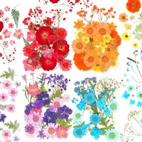 100 Pieces Dried Pressed Flowers for Resin Real Nature Flowers with Leaves Dried Flowers for Crafts DIY Art Candle Soap Making Decors(Colorful Flower)