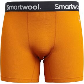 Smartwool Men's Active Boxer Brief Boxed