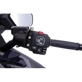 Ciro Goldstrike Perch Mount (Black) for Gold Wing with 5/8" Ball Mount