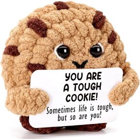 Handmade Crochet Positive Cookie Doll Gifts - Inspirational Gift with Motivational Quote, Appreciation Thank You Gift for Coworker Friends Sister Teacher - Birthday