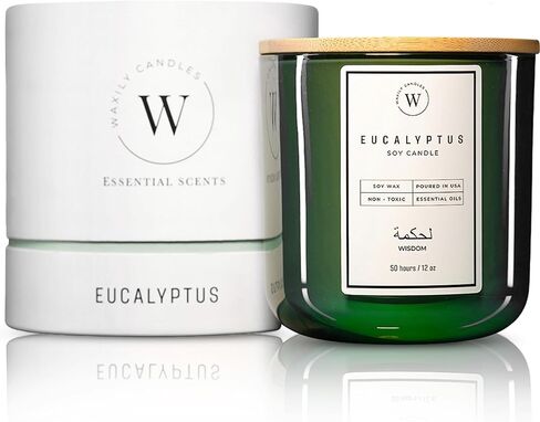 Waxily Eucalyptus Soy Candle | Aromatherapy Candles | Non Toxic, Long Lasting, Glass Essential Oil Candle | Luxury Gift, Clean Burning, Home Spa, Stress Relief, Vegan, Eco Friendly, Natural | 12oz in Saudi Arabia