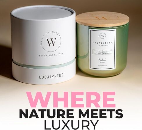 Waxily Eucalyptus Soy Candle | Aromatherapy Candles | Non Toxic, Long Lasting, Glass Essential Oil Candle | Luxury Gift, Clean Burning, Home Spa, Stress Relief, Vegan, Eco Friendly, Natural | 12oz in Saudi Arabia