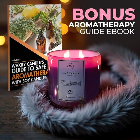 Waxily Eucalyptus Soy Candle | Aromatherapy Candles | Non Toxic, Long Lasting, Glass Essential Oil Candle | Luxury Gift, Clean Burning, Home Spa, Stress Relief, Vegan, Eco Friendly, Natural | 12oz in Saudi Arabia