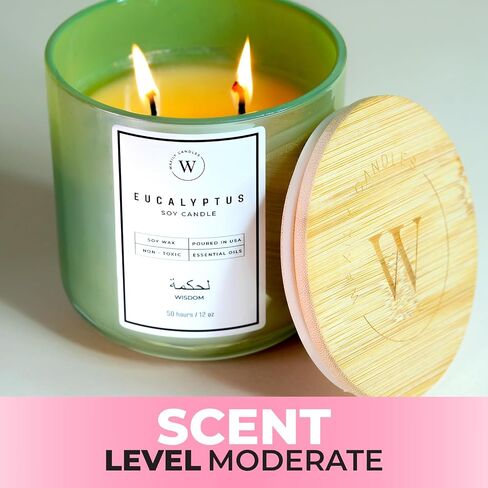 Waxily Eucalyptus Soy Candle | Aromatherapy Candles | Non Toxic, Long Lasting, Glass Essential Oil Candle | Luxury Gift, Clean Burning, Home Spa, Stress Relief, Vegan, Eco Friendly, Natural | 12oz in Saudi Arabia