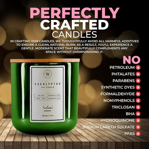 Waxily Eucalyptus Soy Candle | Aromatherapy Candles | Non Toxic, Long Lasting, Glass Essential Oil Candle | Luxury Gift, Clean Burning, Home Spa, Stress Relief, Vegan, Eco Friendly, Natural | 12oz in Saudi Arabia