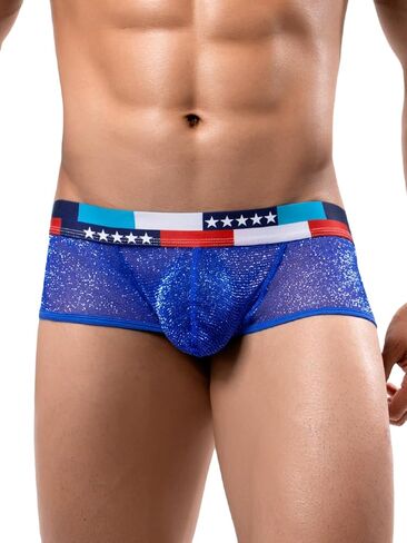 Mens Sexy Mesh Underwear, Sparkly Low Rise Boxers Briefs, USA American Flag Glitter, Sparkle Lingerie Bikini in Saudi Arabia