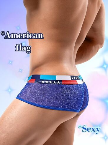 Mens Sexy Mesh Underwear, Sparkly Low Rise Boxers Briefs, USA American Flag Glitter, Sparkle Lingerie Bikini in Saudi Arabia