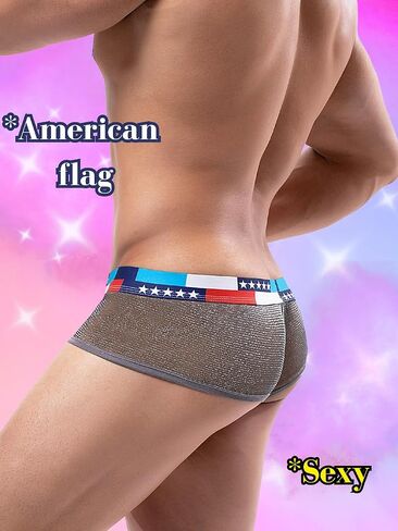 Mens Sexy Mesh Underwear, Sparkly Low Rise Boxers Briefs, USA American Flag Glitter, Sparkle Lingerie Bikini in Saudi Arabia