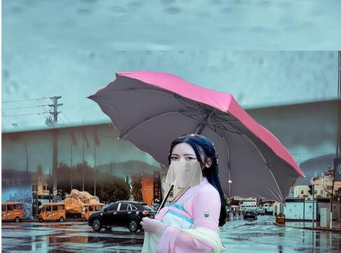 WENDIN Travel Foldable compact Umbrellas Sun rain Umbrellas parasol with Met Water blomssom blooming material in Saudi Arabia