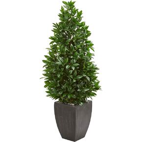 Nearly Natural 56in. Bay Leaf Cone Topiary Artificial Tree UV Resistant in Black Planter (Indoor/Outdoor)