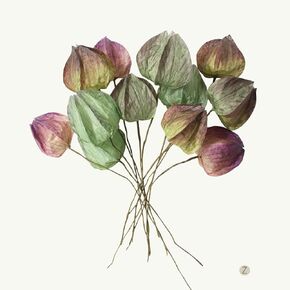 Artificial Bud Flower, Simulation Grass Plant, Paper, Environmental Protection, with Countryside, Vintage Style, DIY, can be Used with Four Seasons Decoration (Pinkish Green 04, XH)