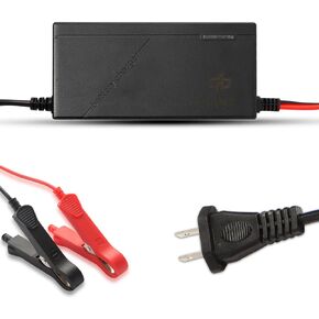 24V 20A LiFePO4 Battery Charger 29.2V Lithium Battery Smart Charger with Anderson Connector and Anderson to M8 Adapter Cable,for Lithium LiFePO4 Deep Cycle Rechargeable Batteries of Car Truck Boat RV